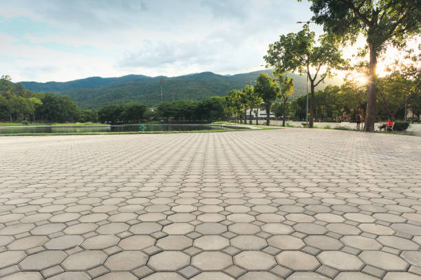 Best Residential Driveway Paver Services  in Kingstree, SC